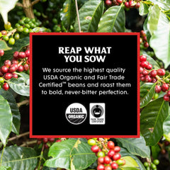 Organic Cold Brew Coffee, Unsweetened